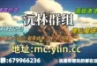 我的世界1.12.2-1.21.5魔塔粘液空岛小游戏沅林群组服